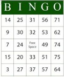 Let’s play BINGO outside at Haskell Field