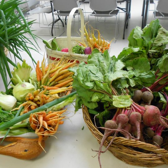 Sudbury Senior Center Get Up, Get Out, Get Active!