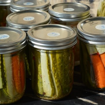 Therapy Gardens, Let’s Make Pickles