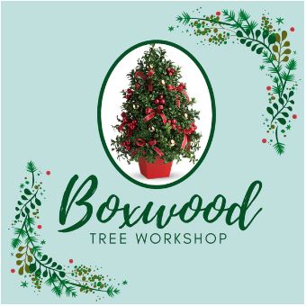 Sudbury Garden Club – Boxwood Tree Workshop