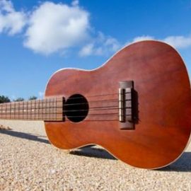 Ukulele