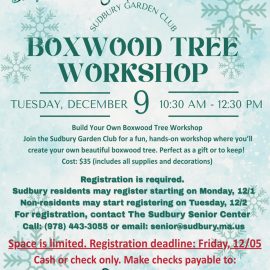 boxwood tree workshop