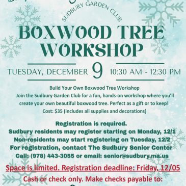 Sudbury Garden Club: Boxwood Tree Workshop