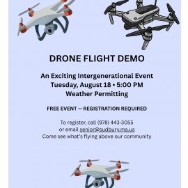 Drone Demo